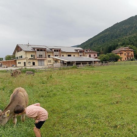 Maso Torbiera- Rural And Mountain Lodging Fiave Экстерьер фото