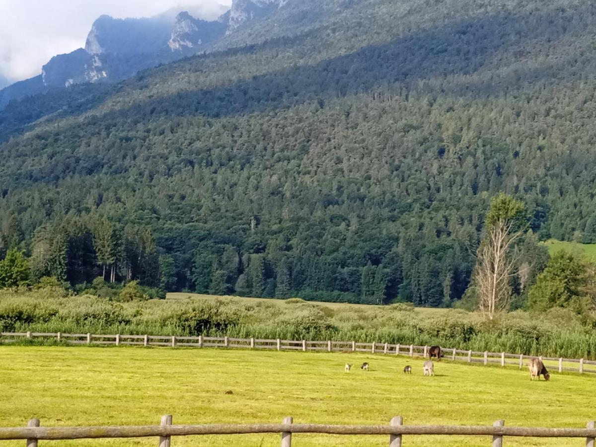Maso Torbiera- Rural And Mountain Lodging Fiave Экстерьер фото