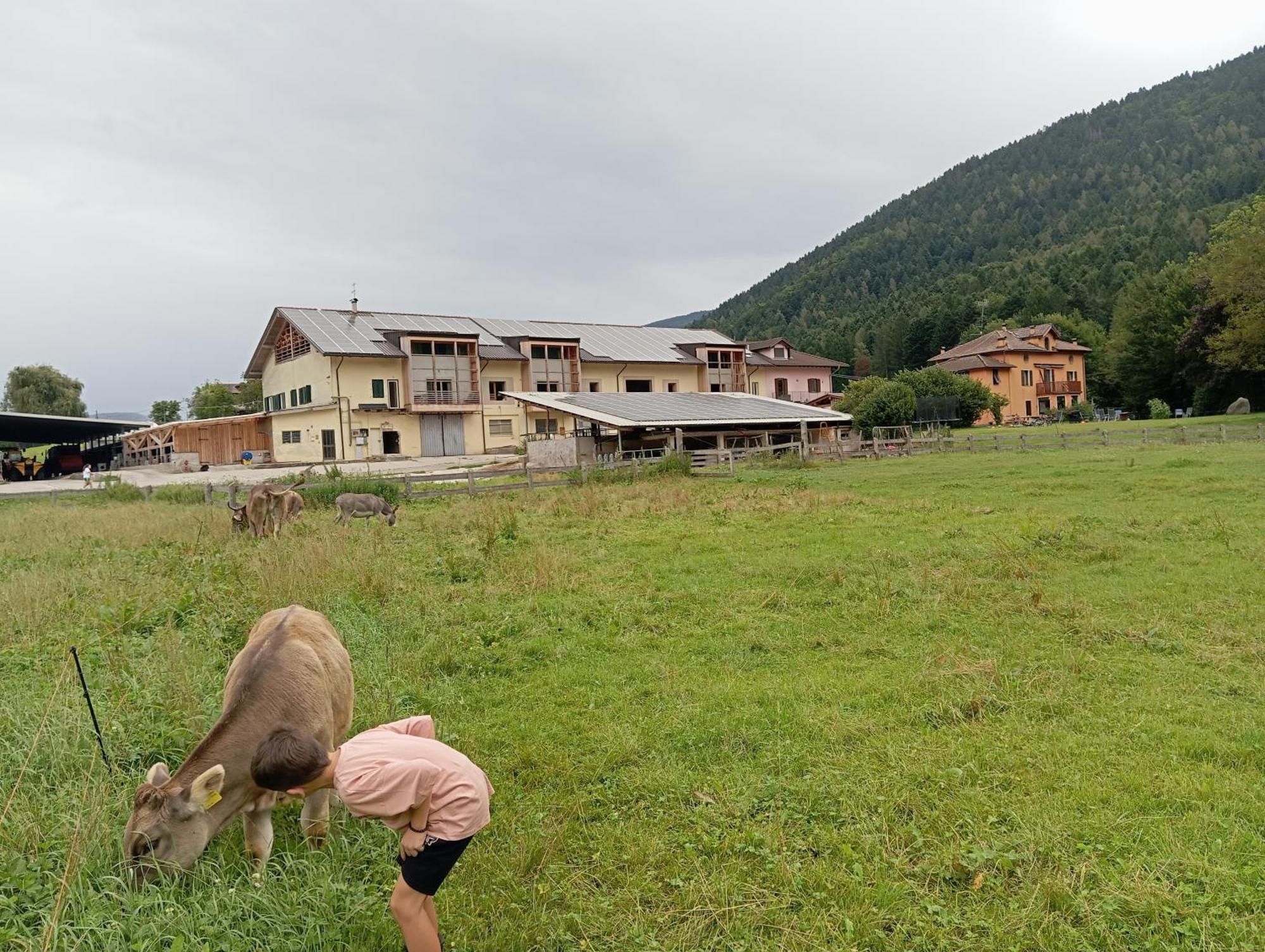 Maso Torbiera- Rural And Mountain Lodging Fiave Экстерьер фото