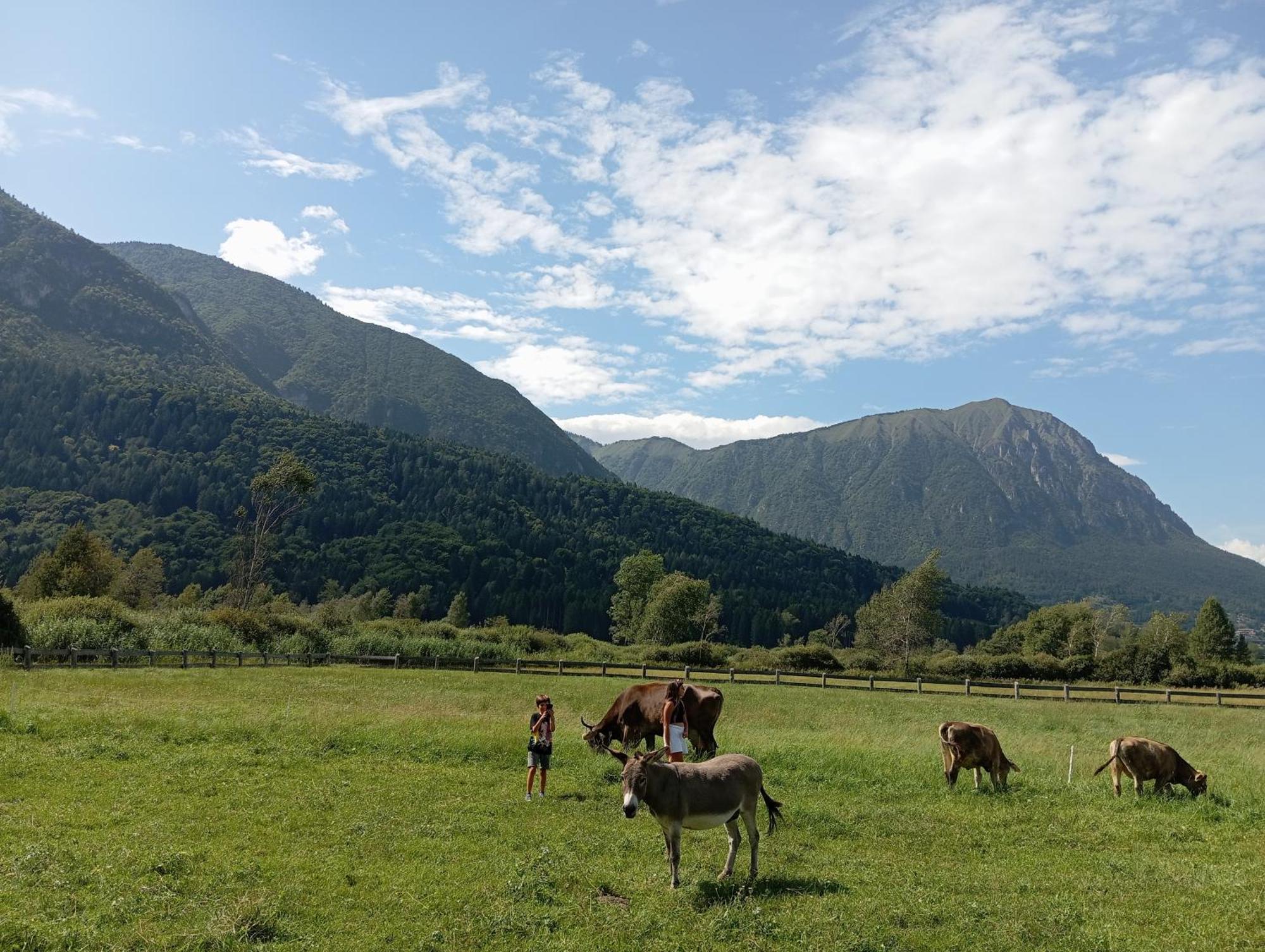Maso Torbiera- Rural And Mountain Lodging Fiave Экстерьер фото